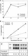 FIG. 7