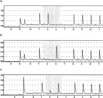 FIG. 2.