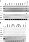 <b>Figure 6</b>