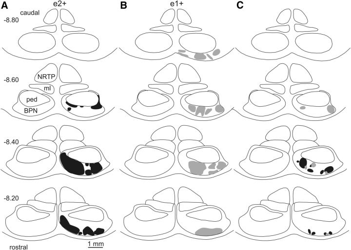 Figure 7.