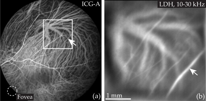 Fig. 9