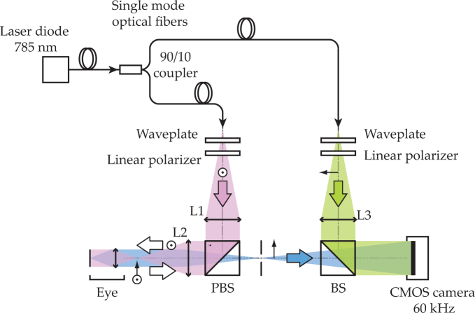 Fig. 1