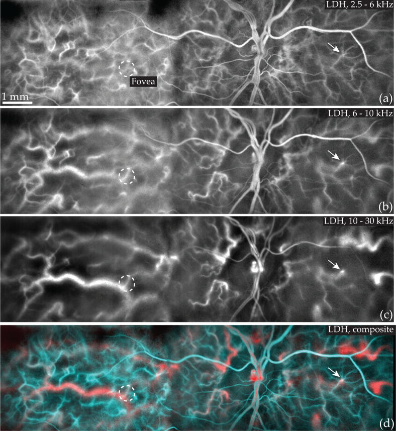 Fig. 7