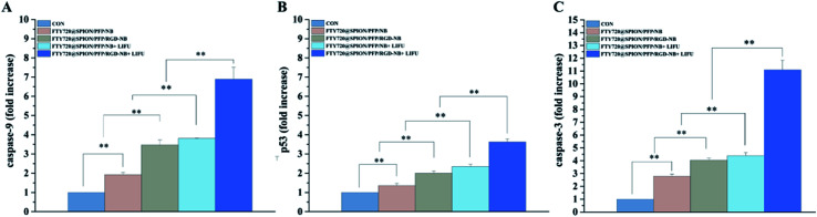 Fig. 7