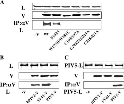 FIG. 7.