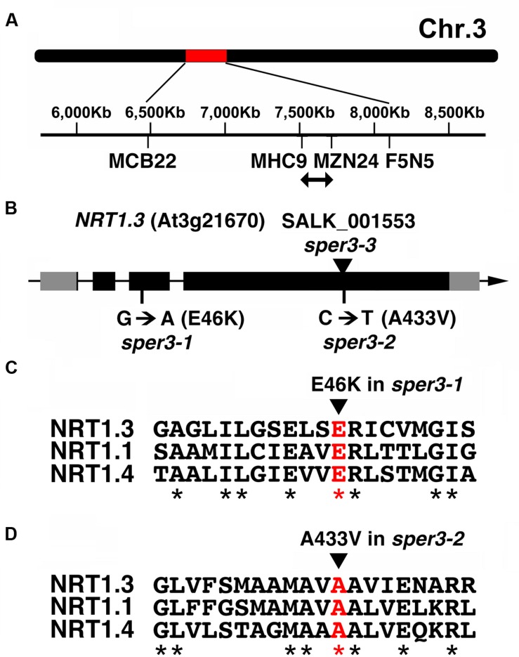 FIGURE 3