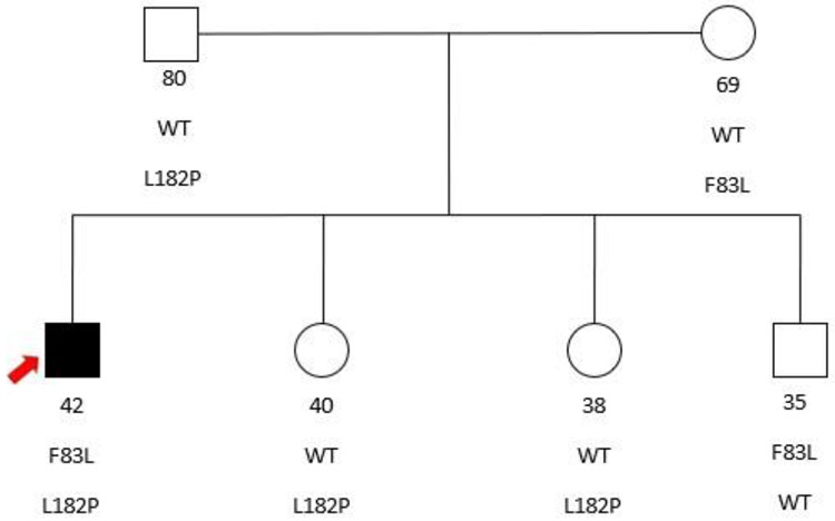 Figure 1.