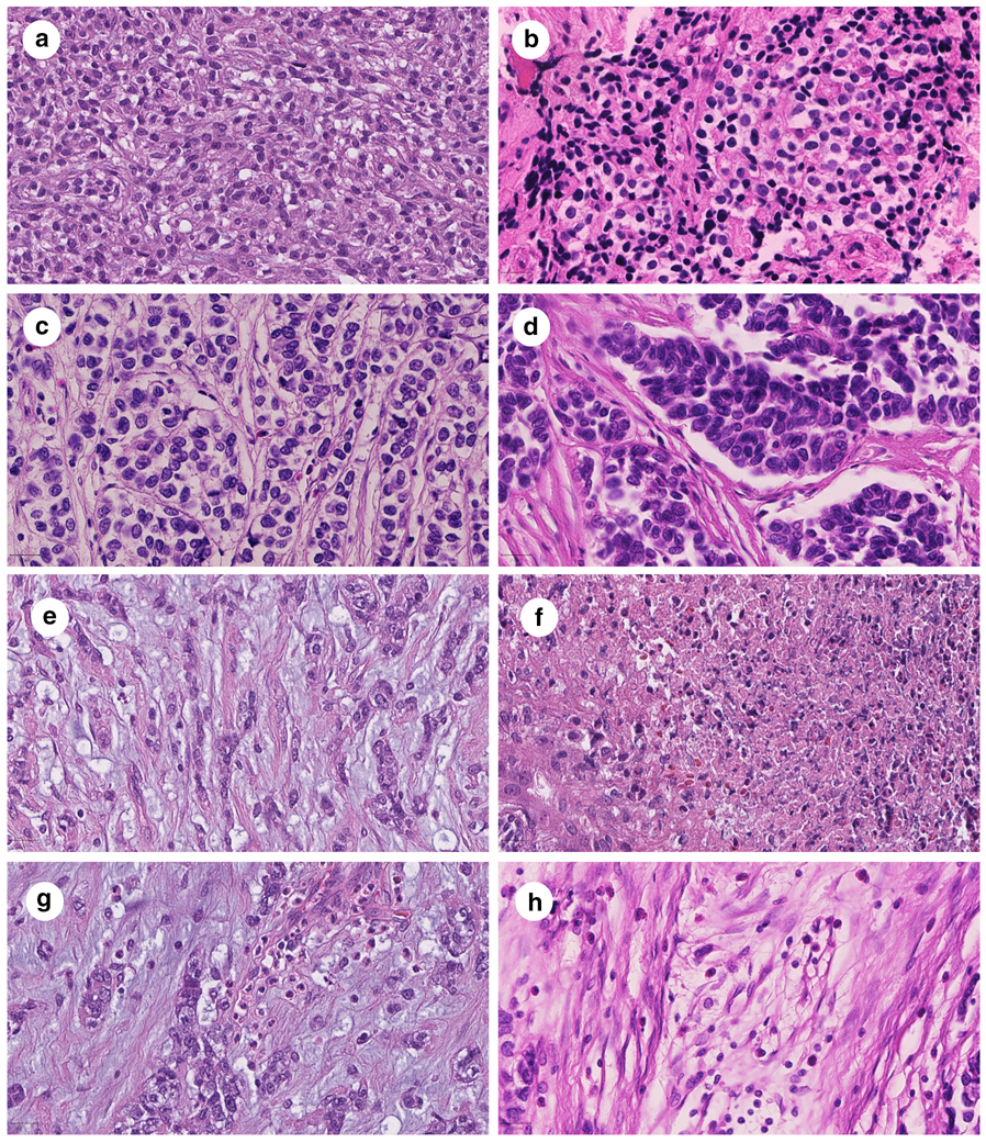 Figure 1: