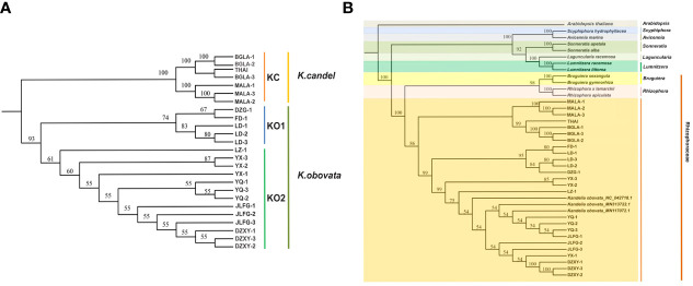 Figure 2