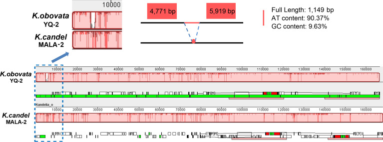 Figure 5