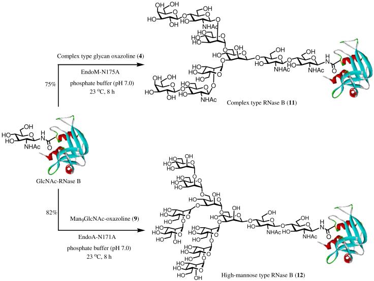 Scheme 5