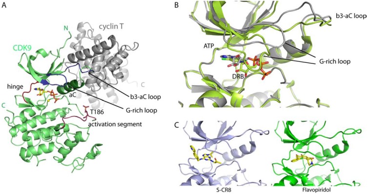 Fig. (2)