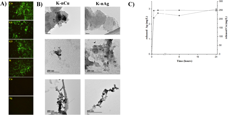 Fig. 5