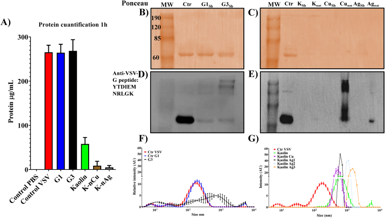 Fig. 6