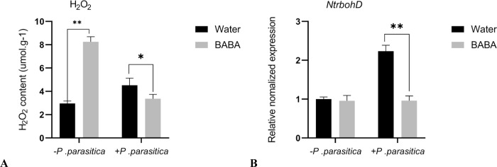 Fig 5