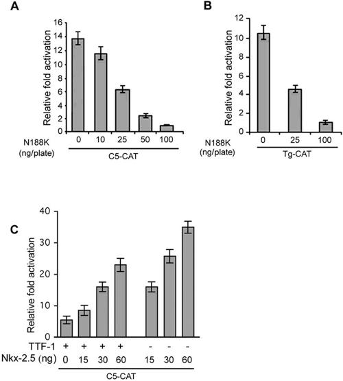 FIG. 1.