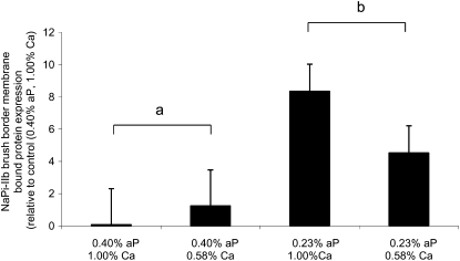 FIGURE 3 