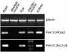 FIG. 7.