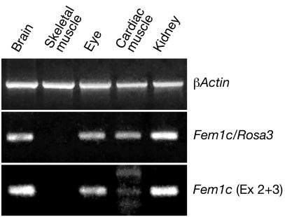 FIG. 7.