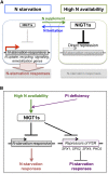 Figure 12.
