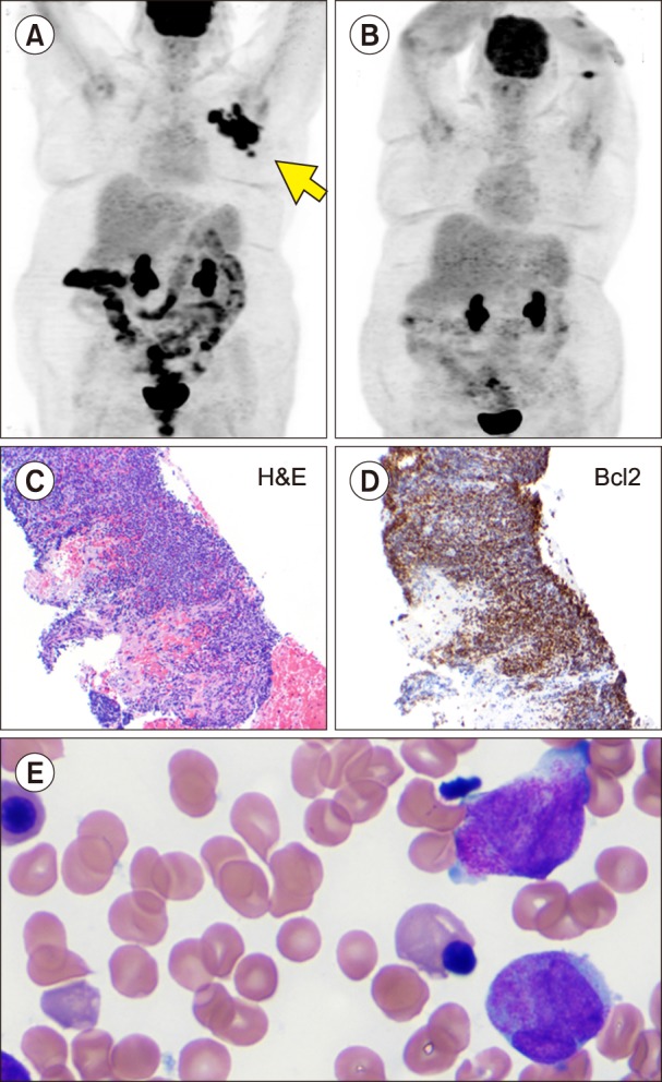 Fig. 2