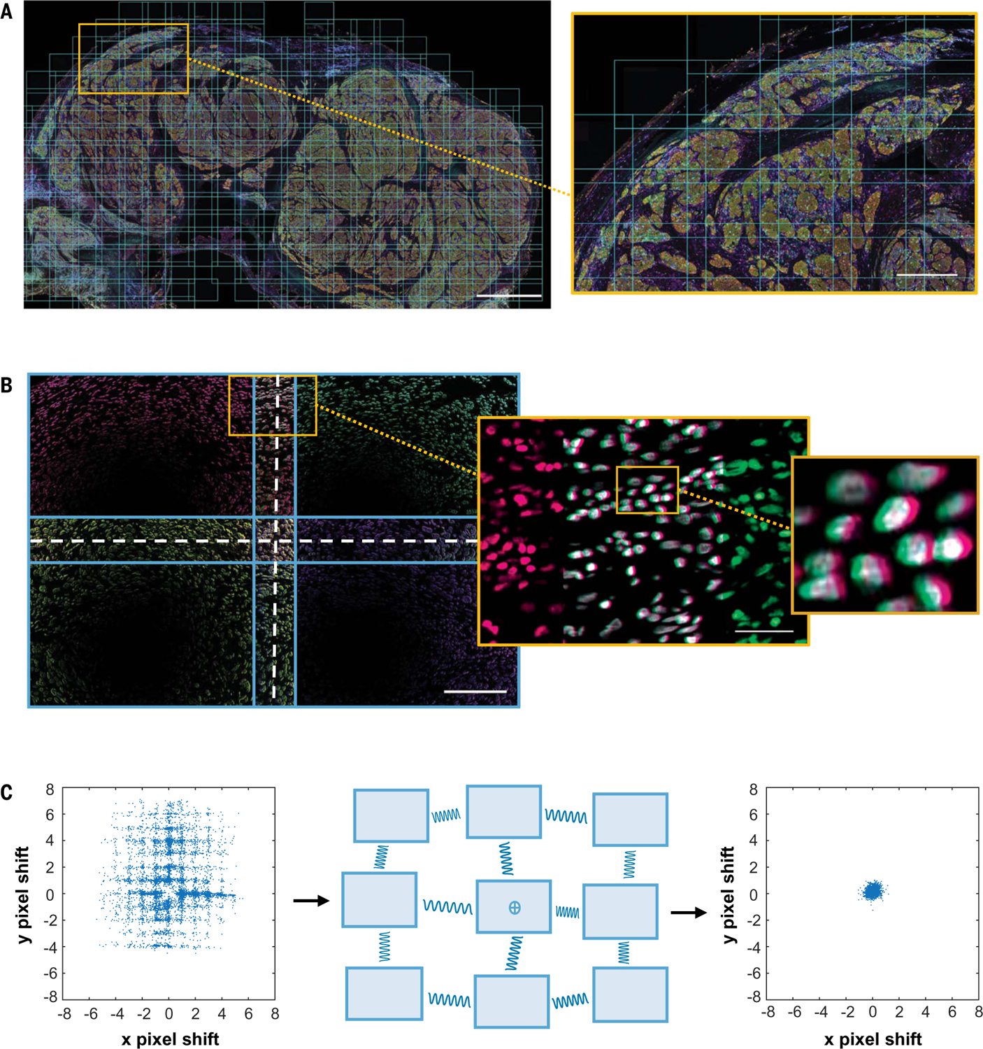 Fig. 3.