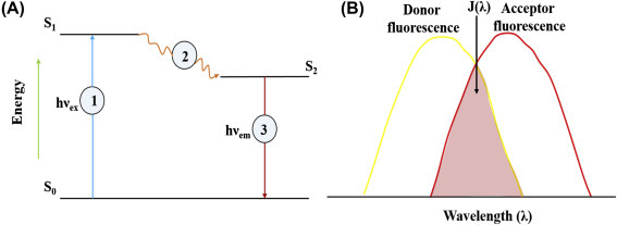 Figure 1.4.6