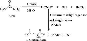 Figure 1.5.7