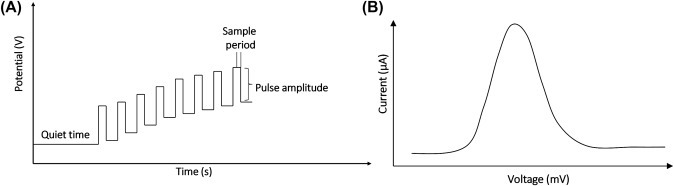 Figure 1.3.6