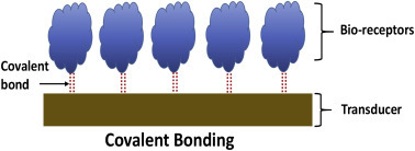 Figure 1.6.2