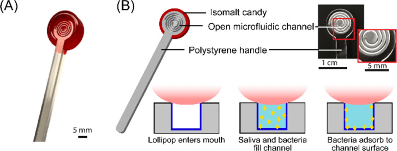 Figure 1.