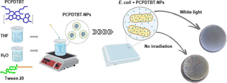 graphic file with name mt4c01049_0010.jpg