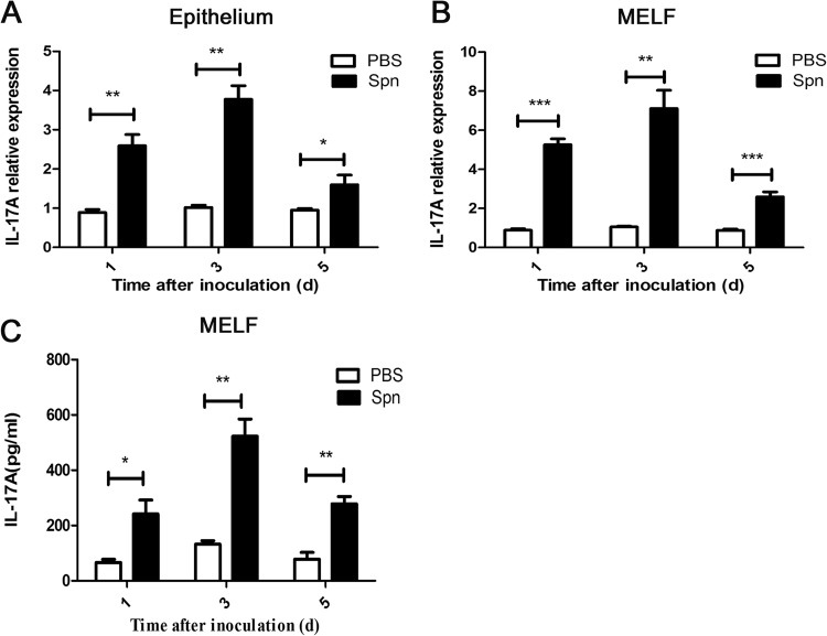 FIG 1