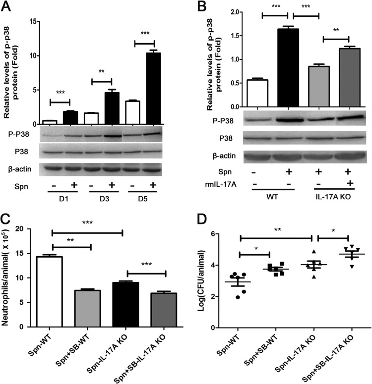 FIG 4