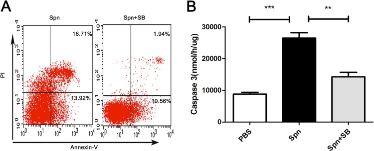 FIG 6