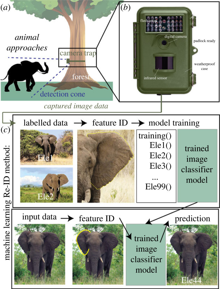 Figure 3. 