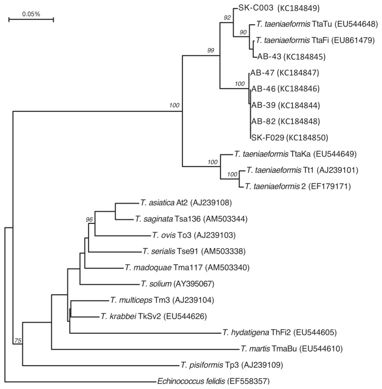 Figure 2