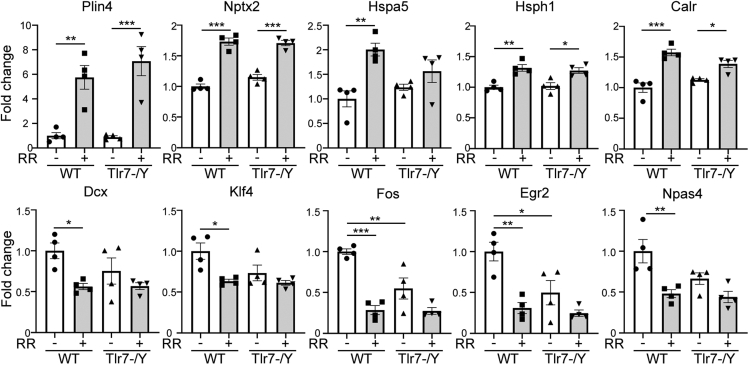 Figure 6