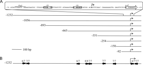 FIG. 1.