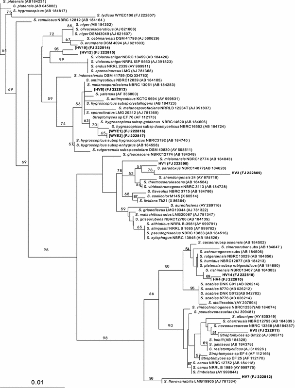 Fig. 1