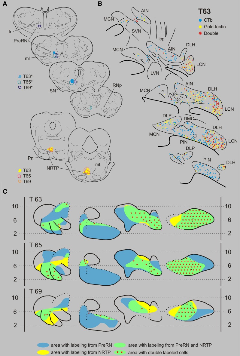 Figure 7