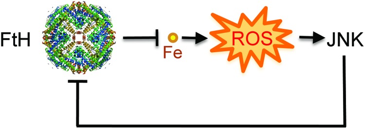 FIG. 8.