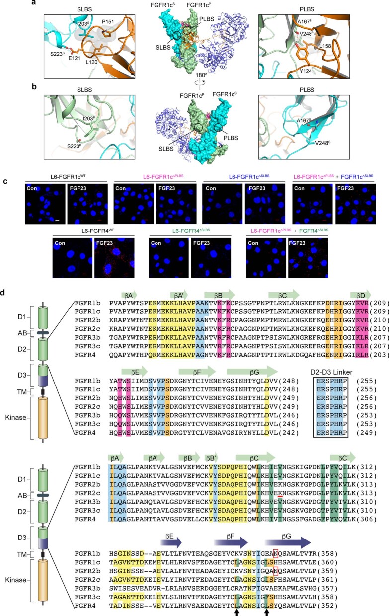 Extended Data Fig. 5