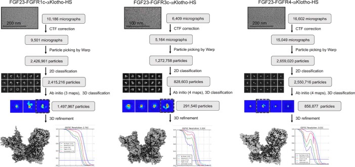 Extended Data Fig. 1