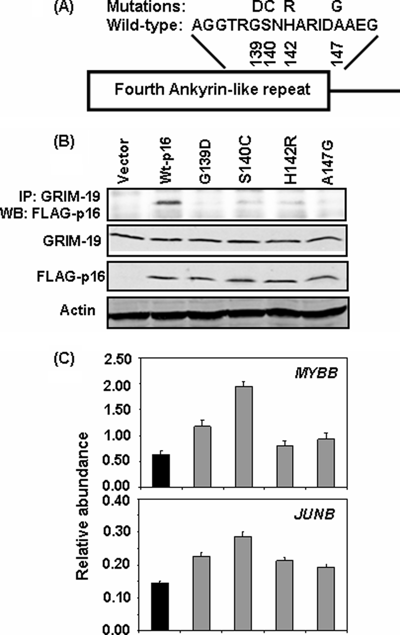 FIGURE 6.