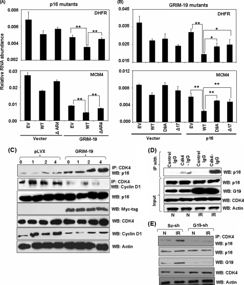 FIGURE 4.