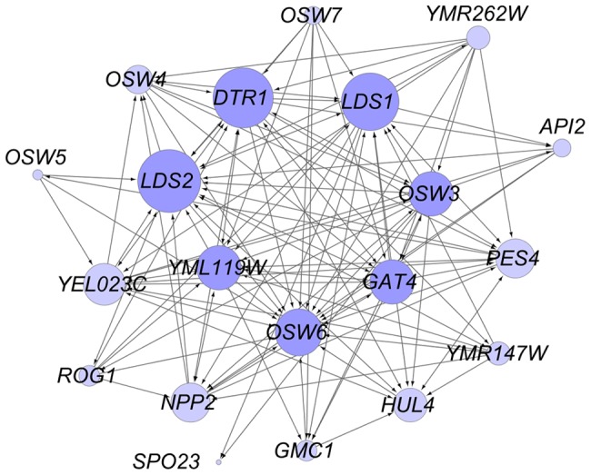 Figure 2