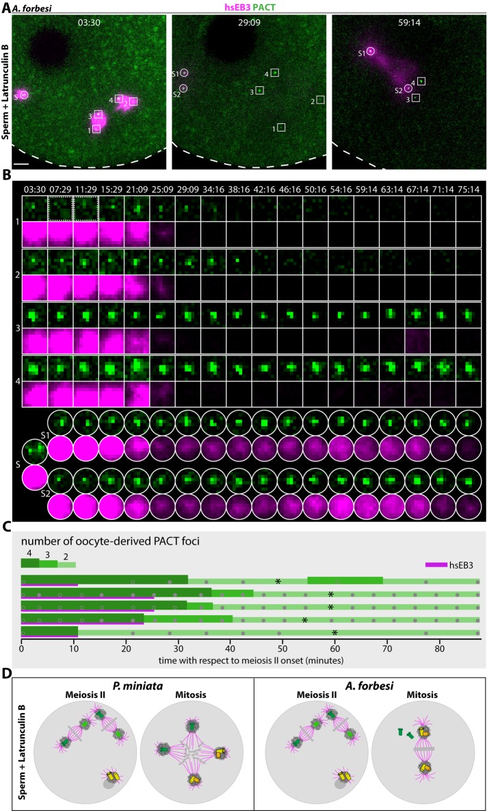 FIGURE 5: