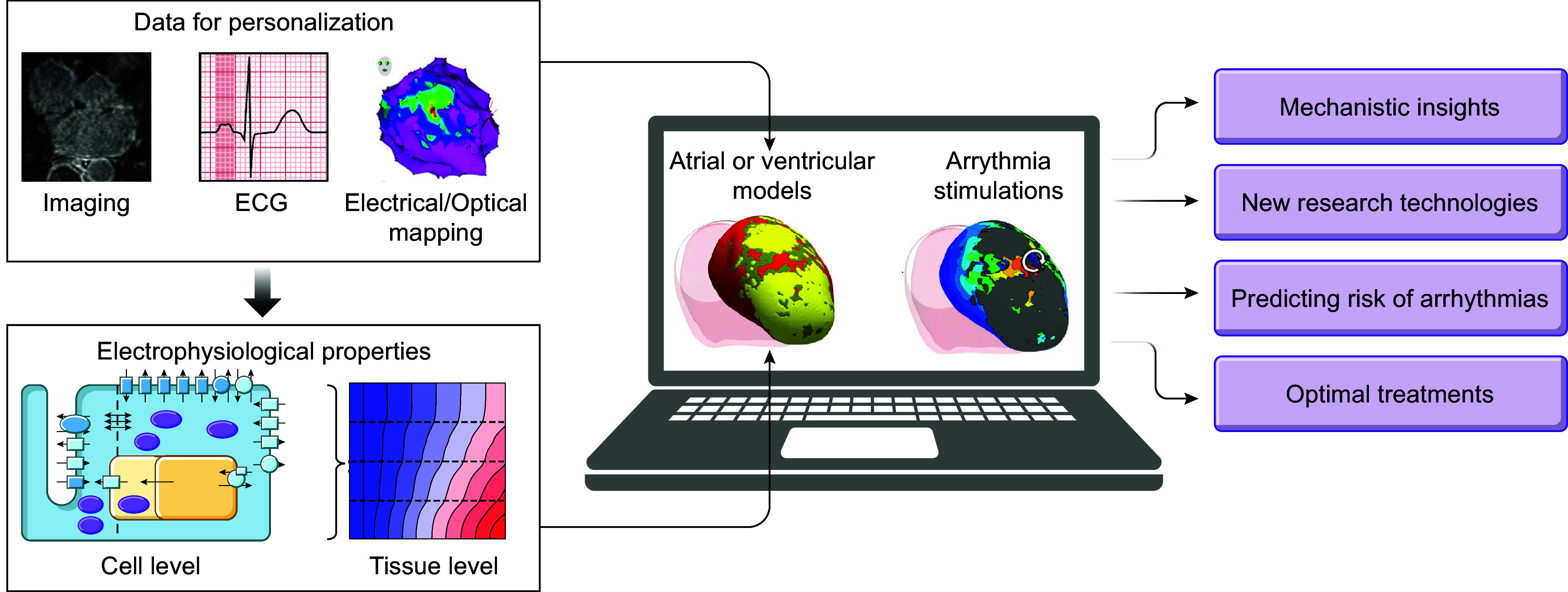 FIGURE 10.