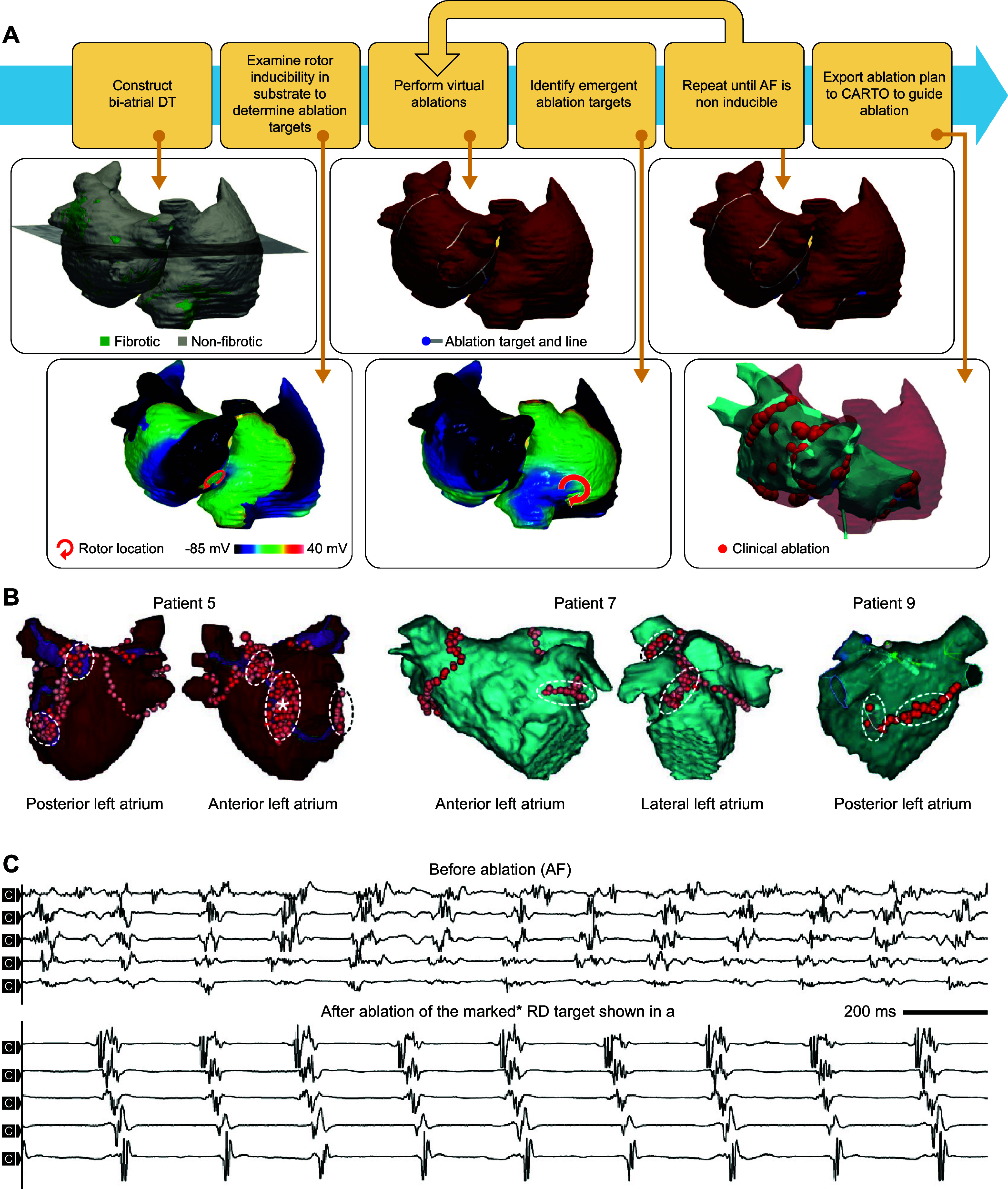 FIGURE 15.